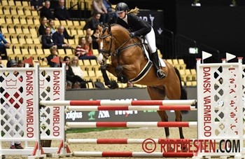 The 4-year-old Danish Warmblood showjumper stallion Vong's Brunello DWB TF had passed his 35-day performance test in the autumn 2018 and was in March 2019 awarded as champion in heat 2 among the showjumpers. He received the Elvin Rasmussen Challenge Cup and a breeder's medal in silver.