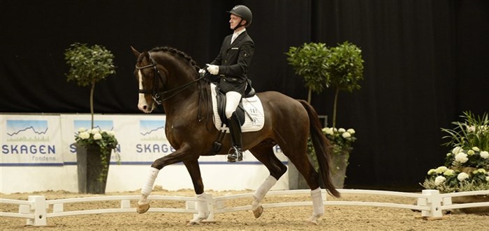 Blue Hors Don Olymbrio og Allan Grøn fra konkurrenceklasserne ved Hingstekåringen i Herning 2014. Foto af Ridehesten.com