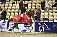 Vinderen af Blue Hors Unghestechampionat, Jukebox med Michael Søgaard 2016